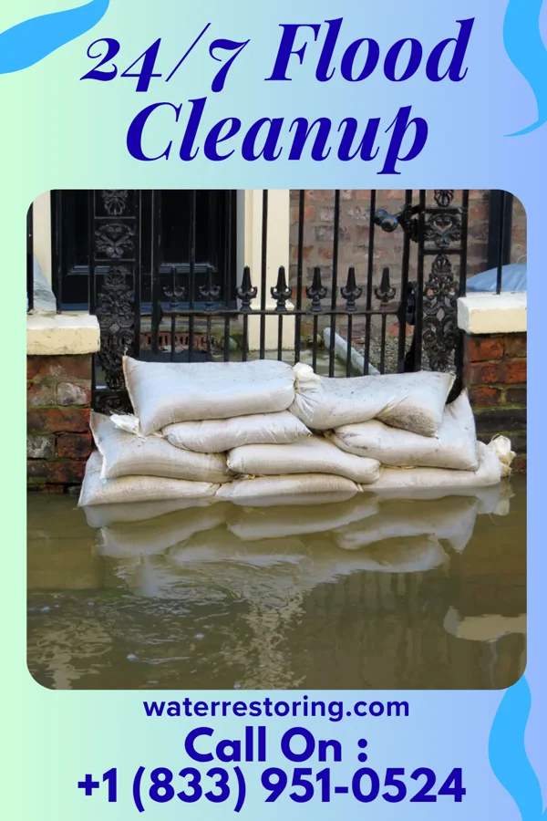 24/7 Flood Cleanup in Mahinahina, HI