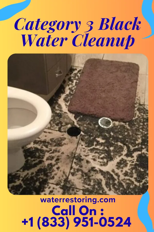 Category 3 Black Water Cleanup in Mahinahina, HI