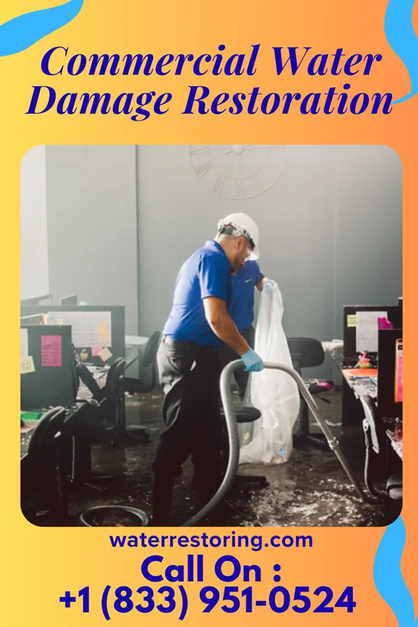 Commercial Water Damage Restoration in Mahinahina, HI