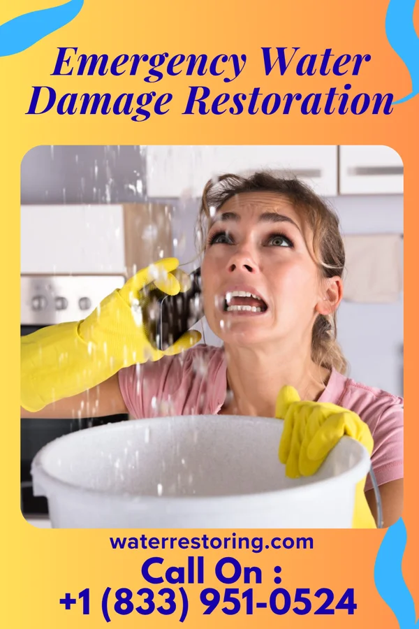 Emergency Water Damage Restoration in Mahinahina, HI